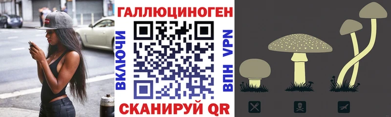 где можно купить наркотик  Старая Купавна  omg ССЫЛКА  Псилоцибиновые грибы мицелий 