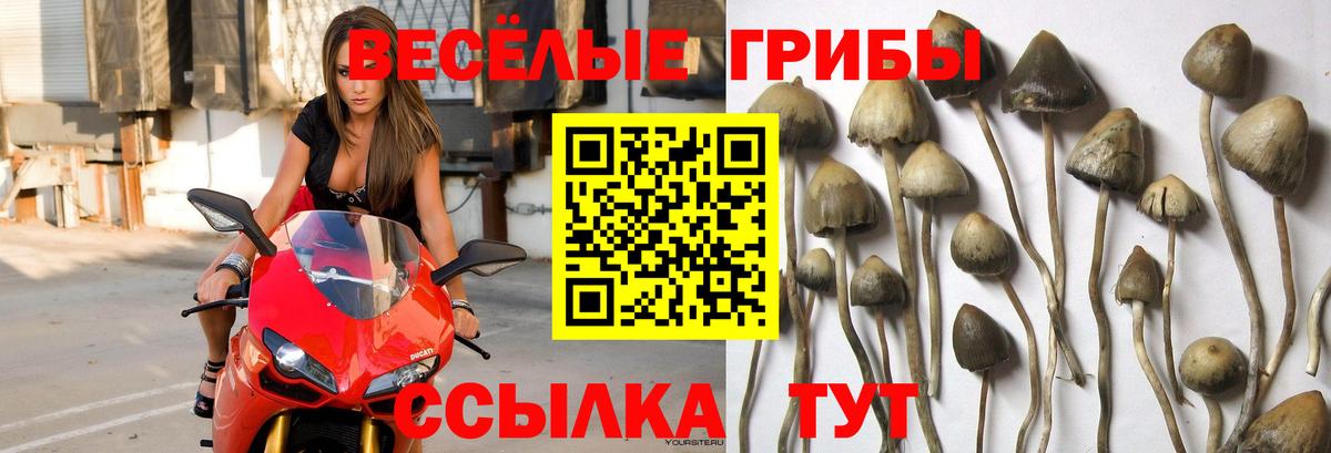 Галлюциногенные грибы ЛСД  Галлюциногенные грибы MAGIC MUSHROOMS  Вход с VPN  Старая Купавна 
